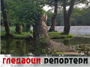 Гледаоци репортери (2. јул 2021)