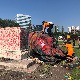 Канада, демонстранти срушили споменике британским краљицама