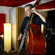 36. Београдски џез фестивал:  Ненад Василић Bass and Strings