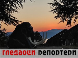 Гледаоци репортери (8. јул 2021)