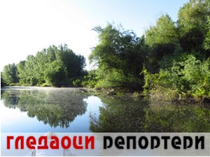 Гледаоци репортери (11. јул 2021)