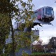 Холандија, зашто је воз ударио у реп кита