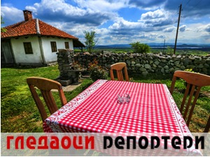 Гледаоци репортери (14. јул 2021)