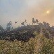 Пожар у шумама на територији Прибоја и Нове Вароши