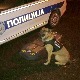 На Јарињу заплењено скоро седам килограма чистог кокаина, ухапшена једна особа