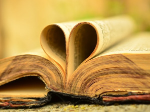 Претпоноћни тренуци - Циклус песама Борислава Радовића - Михајло Јанкетић 