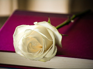 Претпоноћни тренуци - Стихови грчког песника Константина Кавафија -Данило Срећковић 