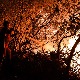 Ватрена стихија у Анталији под контролом, туристи из Србије се нису обраћали амбасади за помоћ
