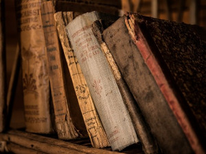 	Претпоноћни тренуци - Сонет У нашој поезији, Весна Парун - Љиљана Драгутиновић