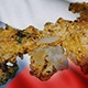 Злато Чешке за будуће генерације, а литијум може одмах