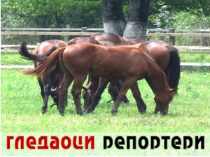 Гледаоци репортери (3. август 2021)