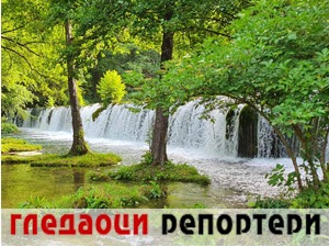 Гледаоци репортери (5. август 2021)