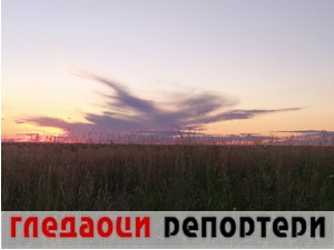 Гледаоци репортери (8. август 2021)