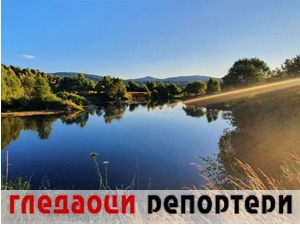 Гледаоци репортери (11. август 2021)