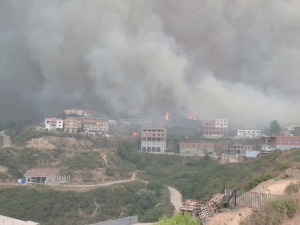 У пожарима у Алжиру погинуле 42 особе, страдало 25 војника