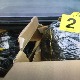 У Гњилану ухапшене три особе са 11 килограма марихуане и два пиштоља