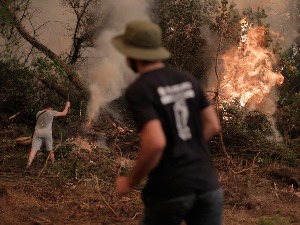 Медитеран у борби са ватреном стихијом – у Грчкој "највећа еколошка катастрофа", хапшења у Алжиру