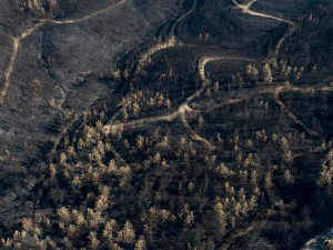 Осам особа погинуло када се срушио руски ватрогасни авион у Турској