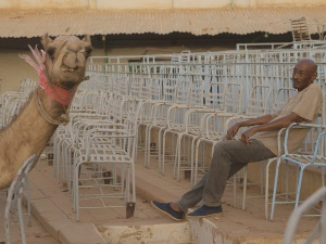 Разговори о дрвећу