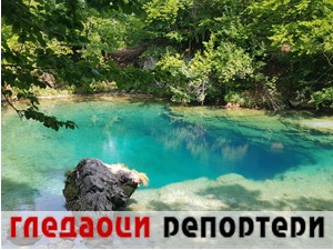 Гледаоци репортери (19. август 2021)