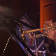 Music live collection: Авишаи Коен  