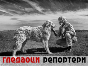 Гледаоци репортери (26. август 2021)