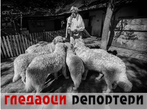 Гледаоци репортери (28. август 2021)