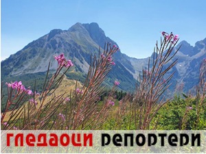 Гледаоци репортери (31. август 2021)