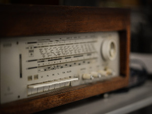 Азбука евергрина - Patricia Cass