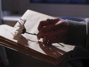 Претпоноћни тренуци - Стихови Драгиње Урошевић - Неда Спасојевић