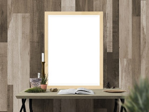 Портрет - Група Катамаран 