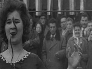 Човек није тица