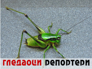 Гледаоци репортери (12. септембар 2021)