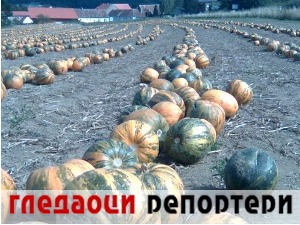 Гледаоци репортери (15. септембар 2021)