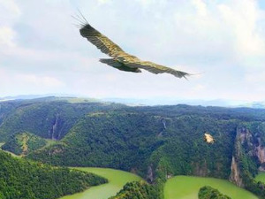 Траг: Време орлова - увачка бајка