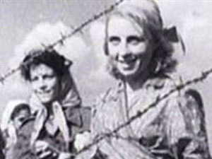 Црвени цвет