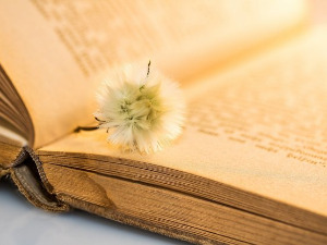 	Претпоноћни тренуци - Песме Васка Попе из Циклуса Далеко у нама - Марко Николић 