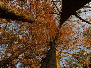 Повратак лета за викенд, ипак јутра свежа