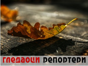 Гледаоци репортери (27. септембар 2021)