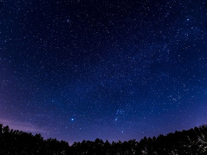  Ритам звезда - О забавној музици 