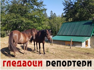 Гледаоци репортери (1. октобар 2021)