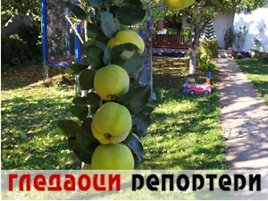 Гледаоци репортери (4. октобар 2021)