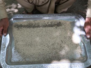 "Бомбе" – наслаге из катализатора помешане са лековима као нова дрога