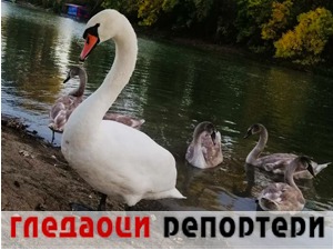 Гледаоци репортери (5. октобар 2021)