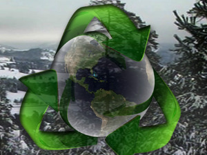 Тајни живот жаба