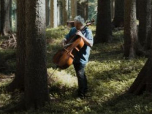 Потрага за чудесним дрветом