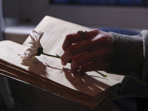 	Претпоноћни тренуци - Песме Миодрага Павловића, Збирка Млеко искони - Светислав Вуковић