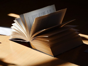 Претпоноћни тренуци - Песме Стевана Раичковића - Светислав Вуковић