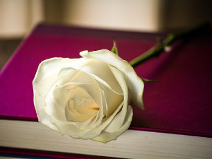 Претпоноћни тренуци - Позни часови - Алекса Шантић - Светислав Вуковић 