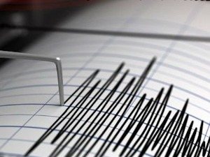 Снажан земљотрес погодио Бали, троје погинулих